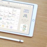 【これでダメなら諦めろ】究極にシンプルな家計簿の書き方🔰